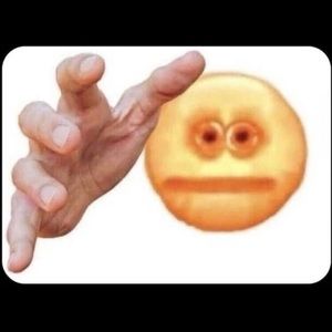 Meet your Posher, João